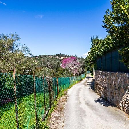 Villetta Brezza Marina Porto Ercole  Eksteriør billede